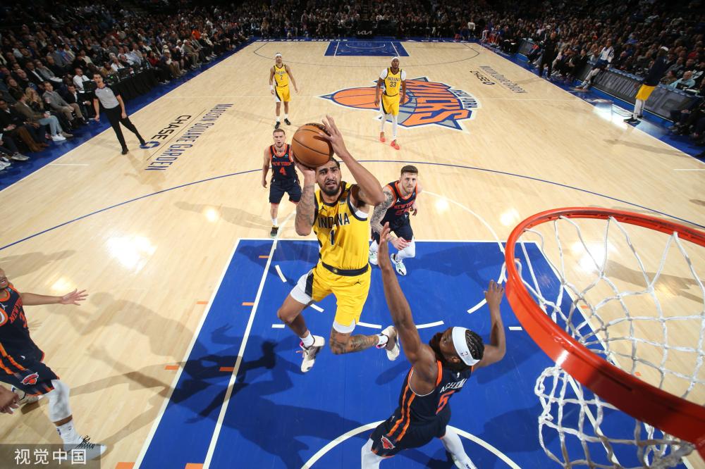 保护篮板 保护篮板